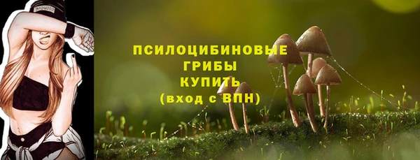 шишки Покров