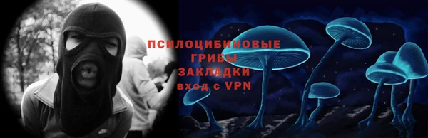 шишки Покров