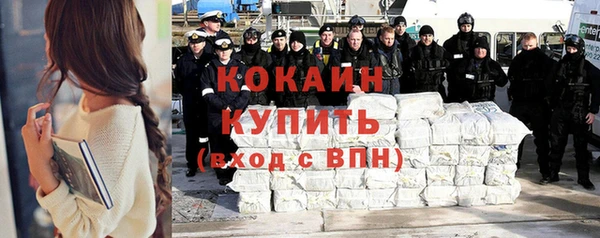 шишки Покров