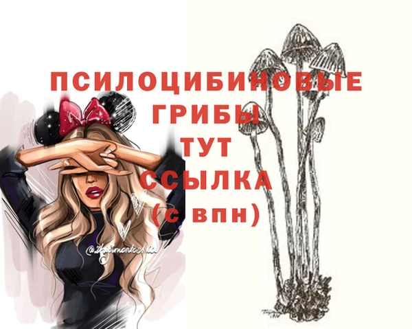 шишки Покров