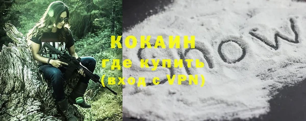 шишки Покров