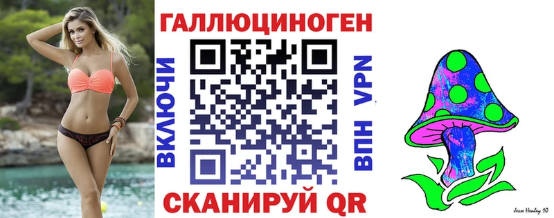 Псилоцибиновые грибы Psilocybe Яблоновский